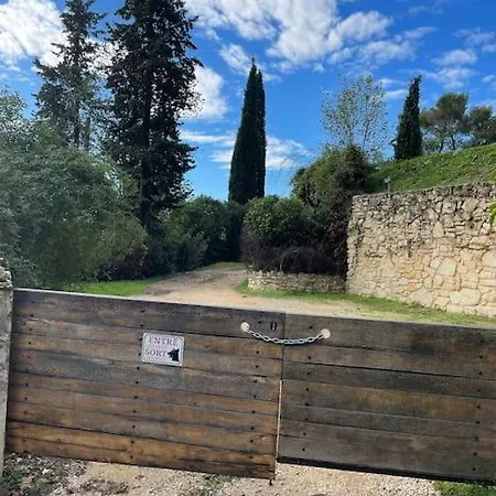 A Flanc De Colline *