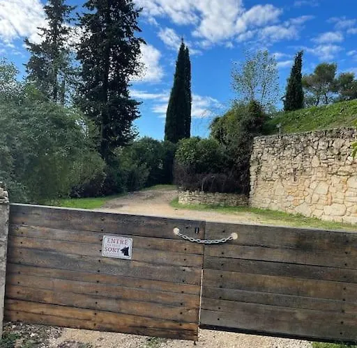 A Flanc De Colline *